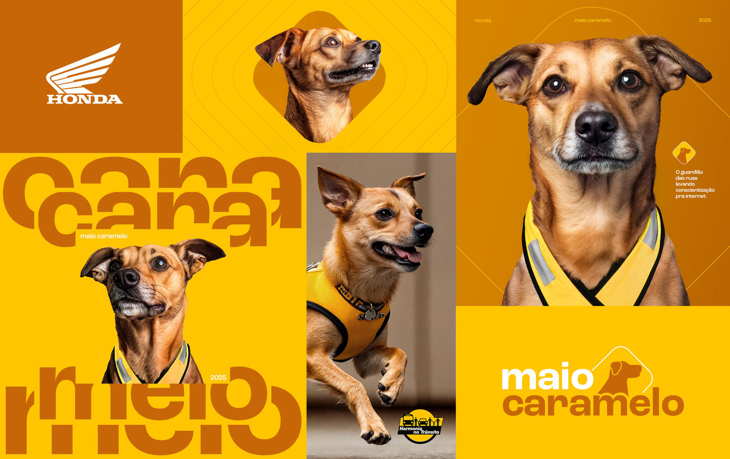 Maio Caramelo: Honda traz cachorros caramelo como influenciadores em campanha de conscientização para motociclistas 