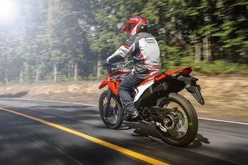 XR 300L Tornado 2025