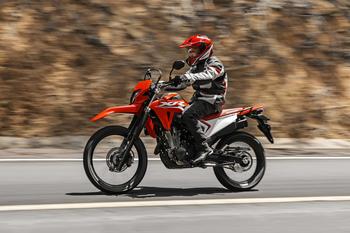 XR 300L Tornado 2025