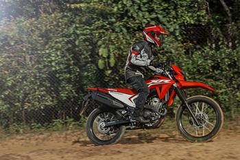 XR 300L Tornado 2025