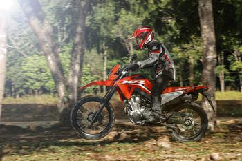 XR 300L Tornado 2025