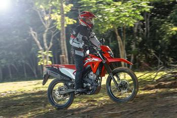 XR 300L Tornado 2025