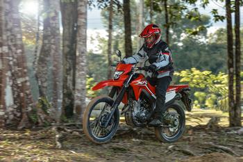 XR 300L Tornado 2025