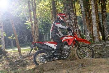 XR 300L Tornado 2025