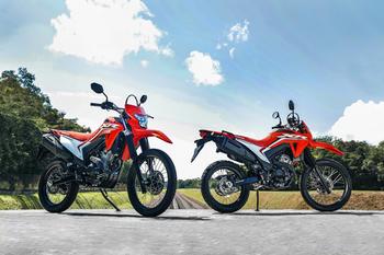 XR 300L Tornado 2025