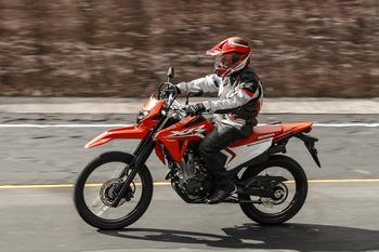 XR 300L Tornado 2025